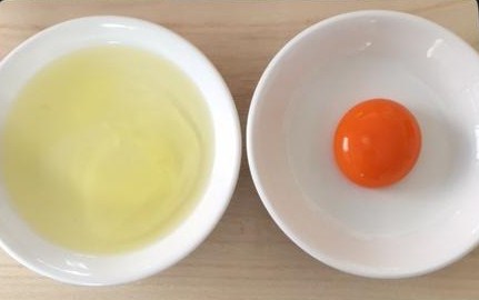 卵の黄身と白身