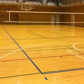 バレーボールルール